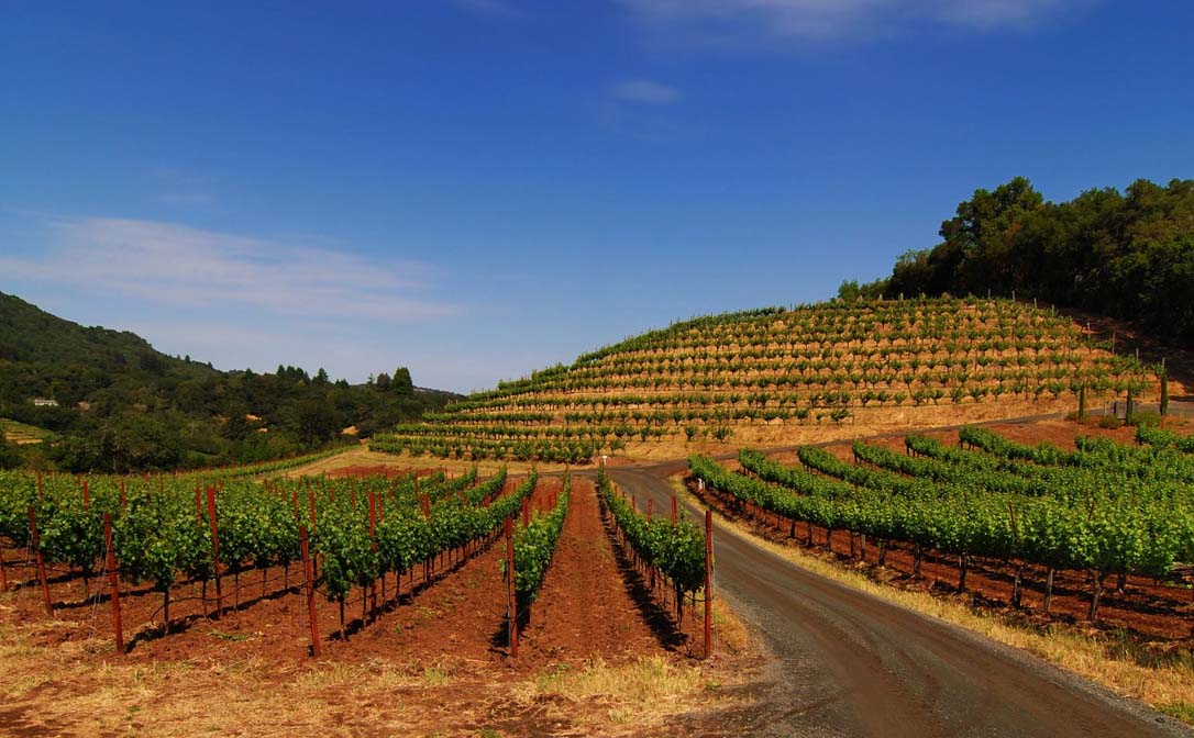 Sonoma, California, Heat