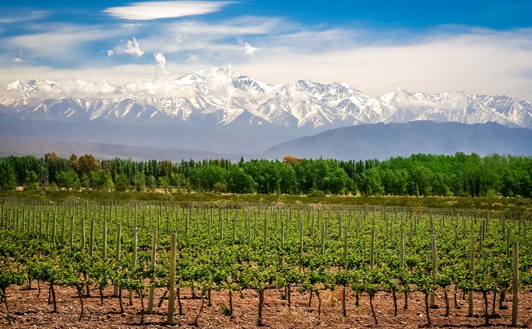 Mendoza, Argentina, Altitude