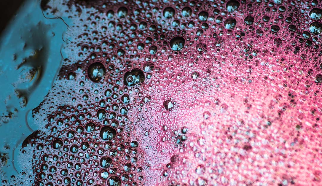 Red wine fermenting
