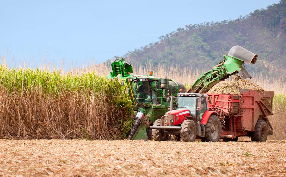 Harvesting raw materials spirits