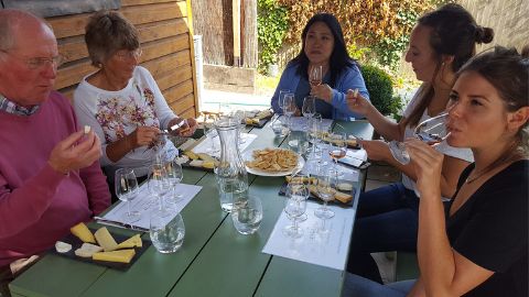 Wine and cheese tour