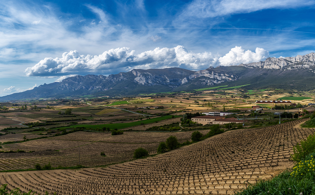 La Rioja Alavesa