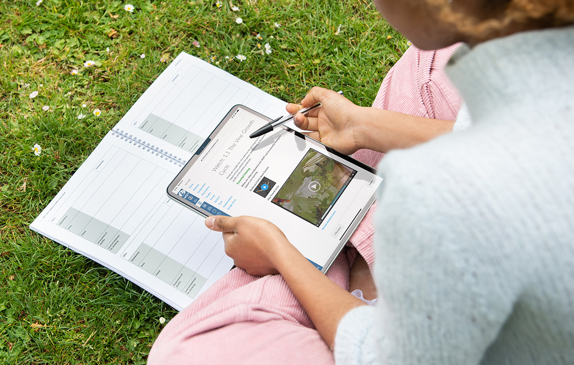 Learning about wine online. Studying from a tablet while outside