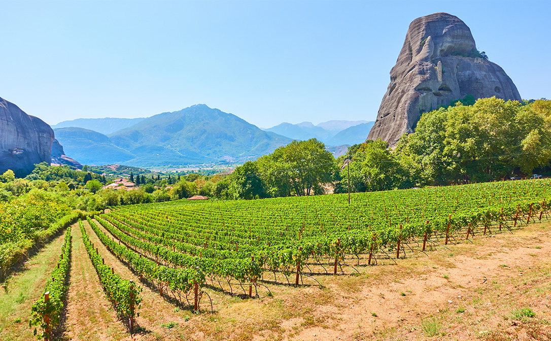 Kastraki village in Greece, vineyards