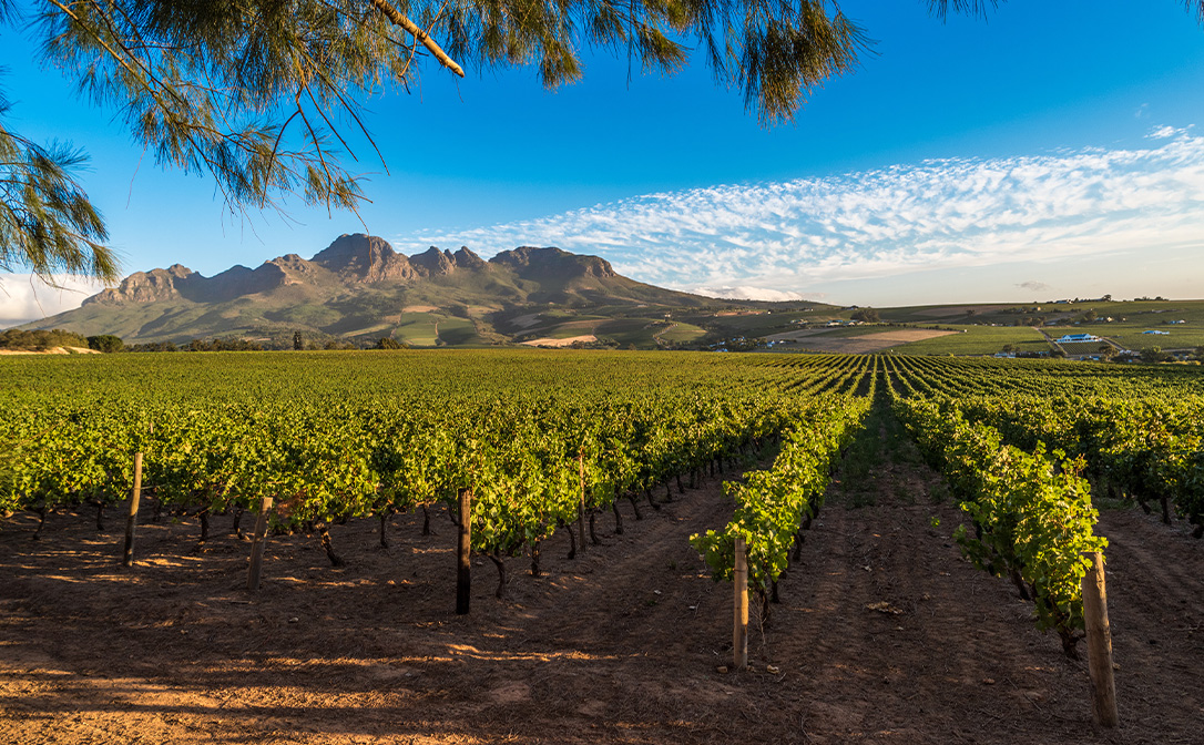 Western Cape, South Africa
