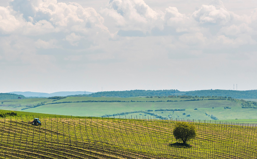 Drăgăşani region, better known as Transylvania