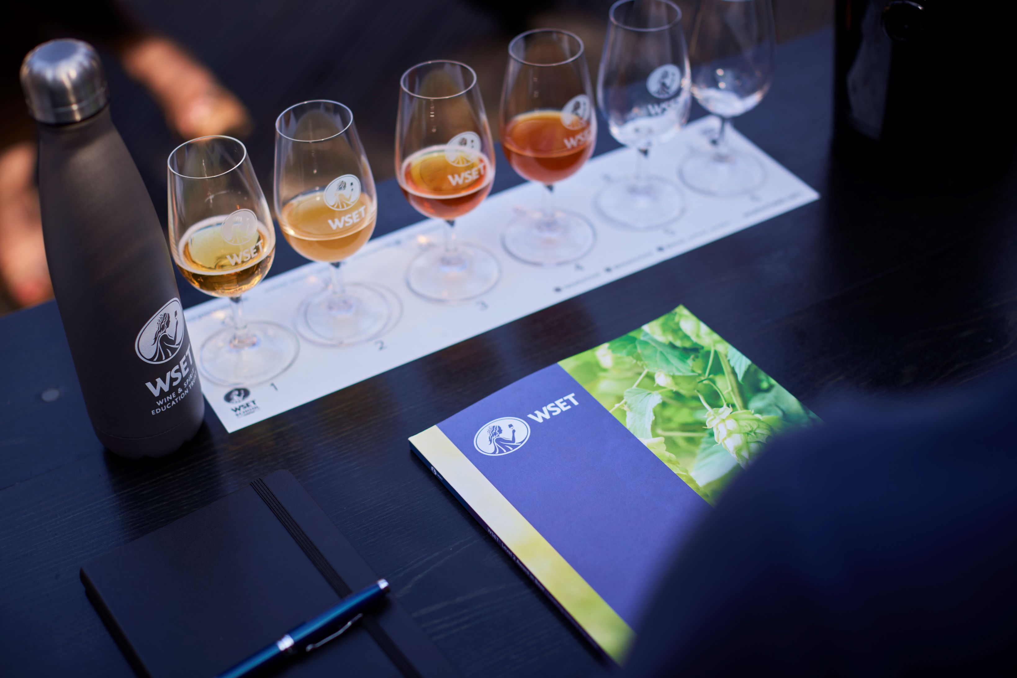 A row of beer tasting glasses