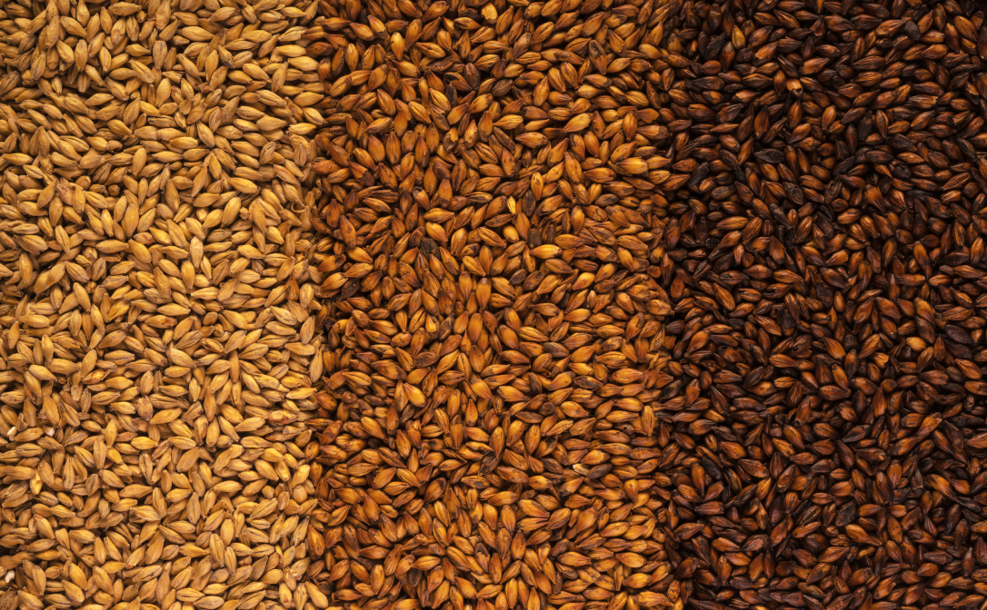 Barley that has been soaked, germinated, and then dried in a kiln, going from a sandy colour to very dark brown