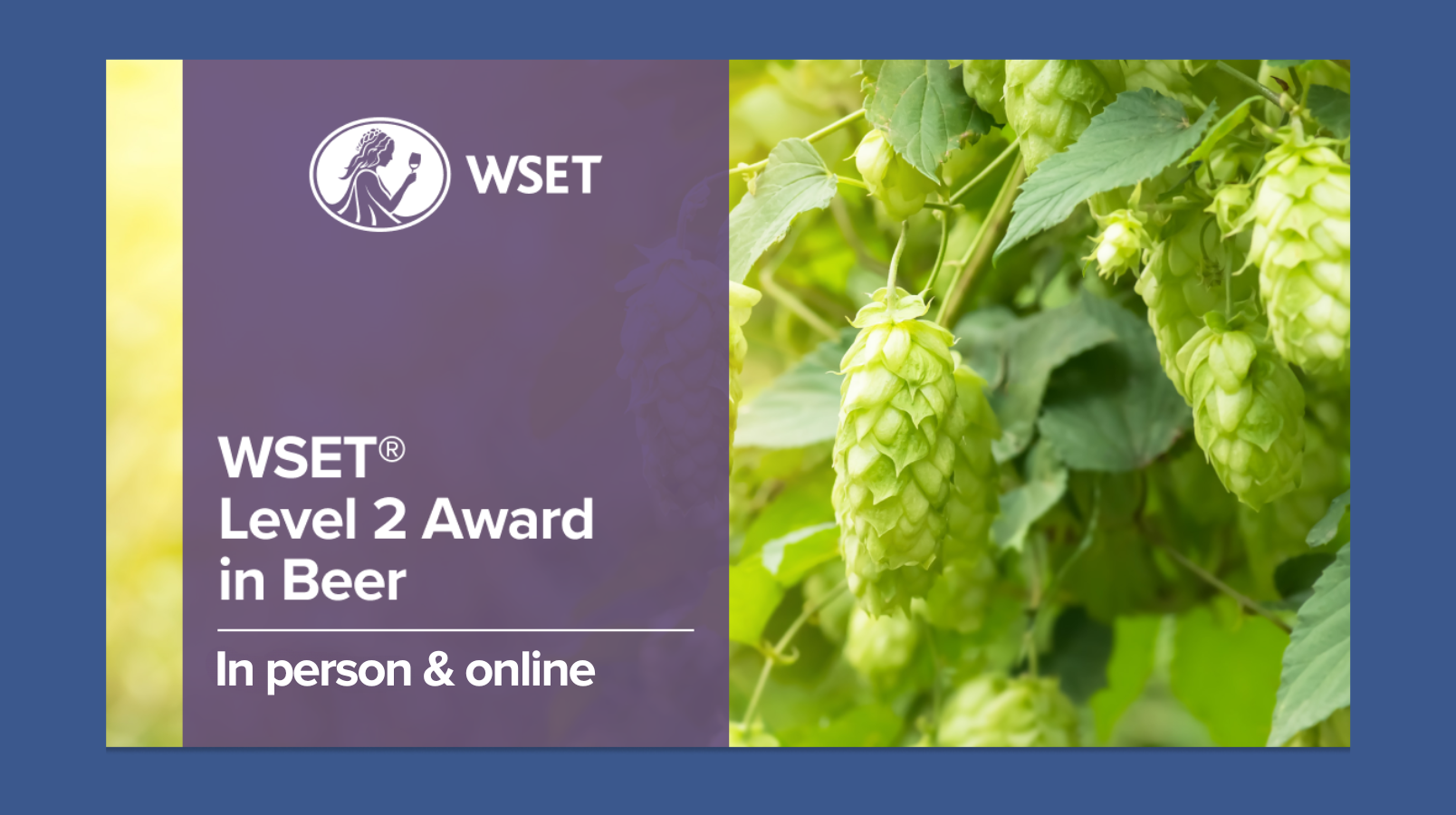 An image of our beer level 2 qualification