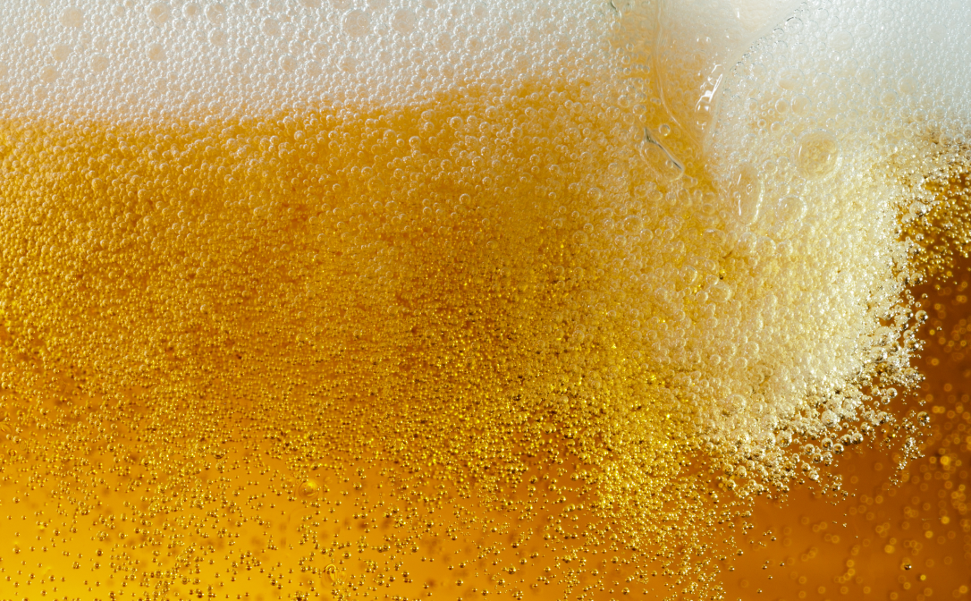 Fizzy lager
