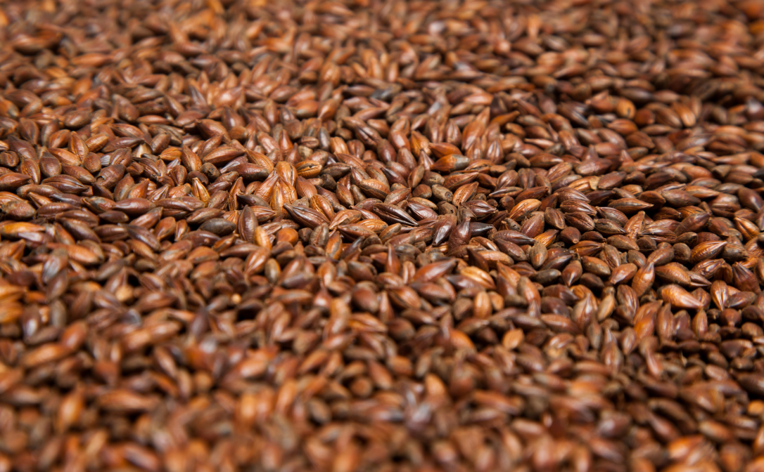 Malted barley, a dark brown grain