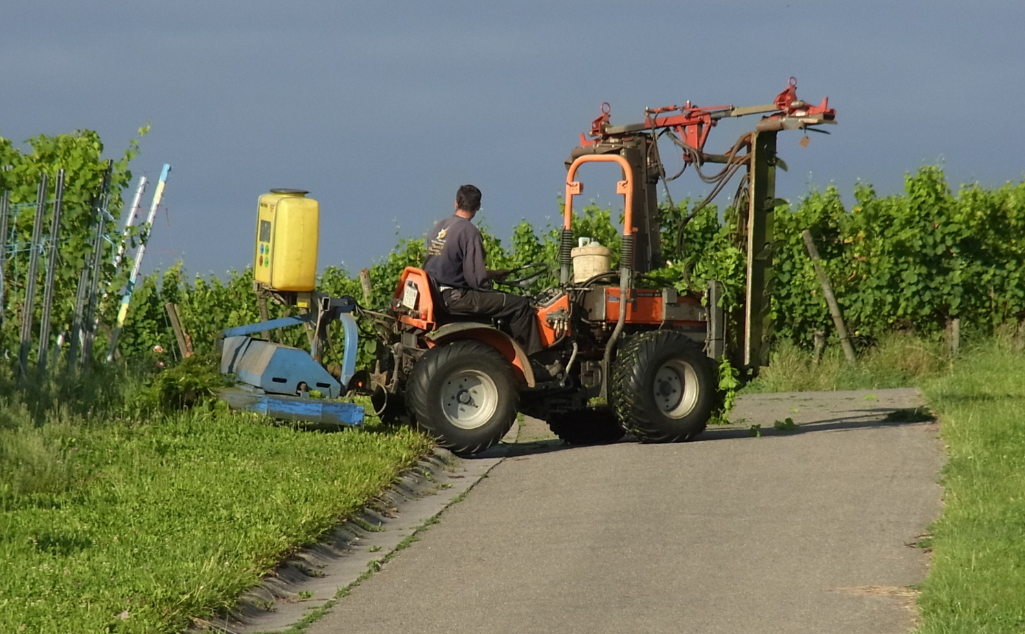 vineyard manager listing image.png