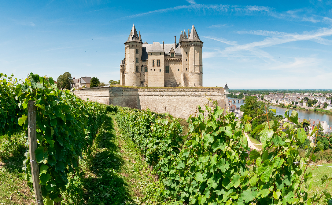 A stone castle behind a vineyard, with a river in the distance