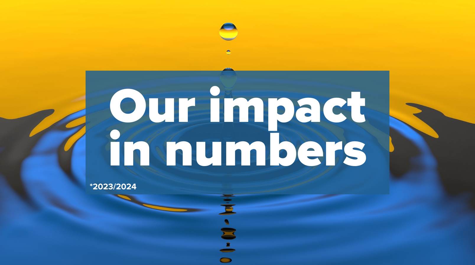 Our impact in numbers *2023/2024
