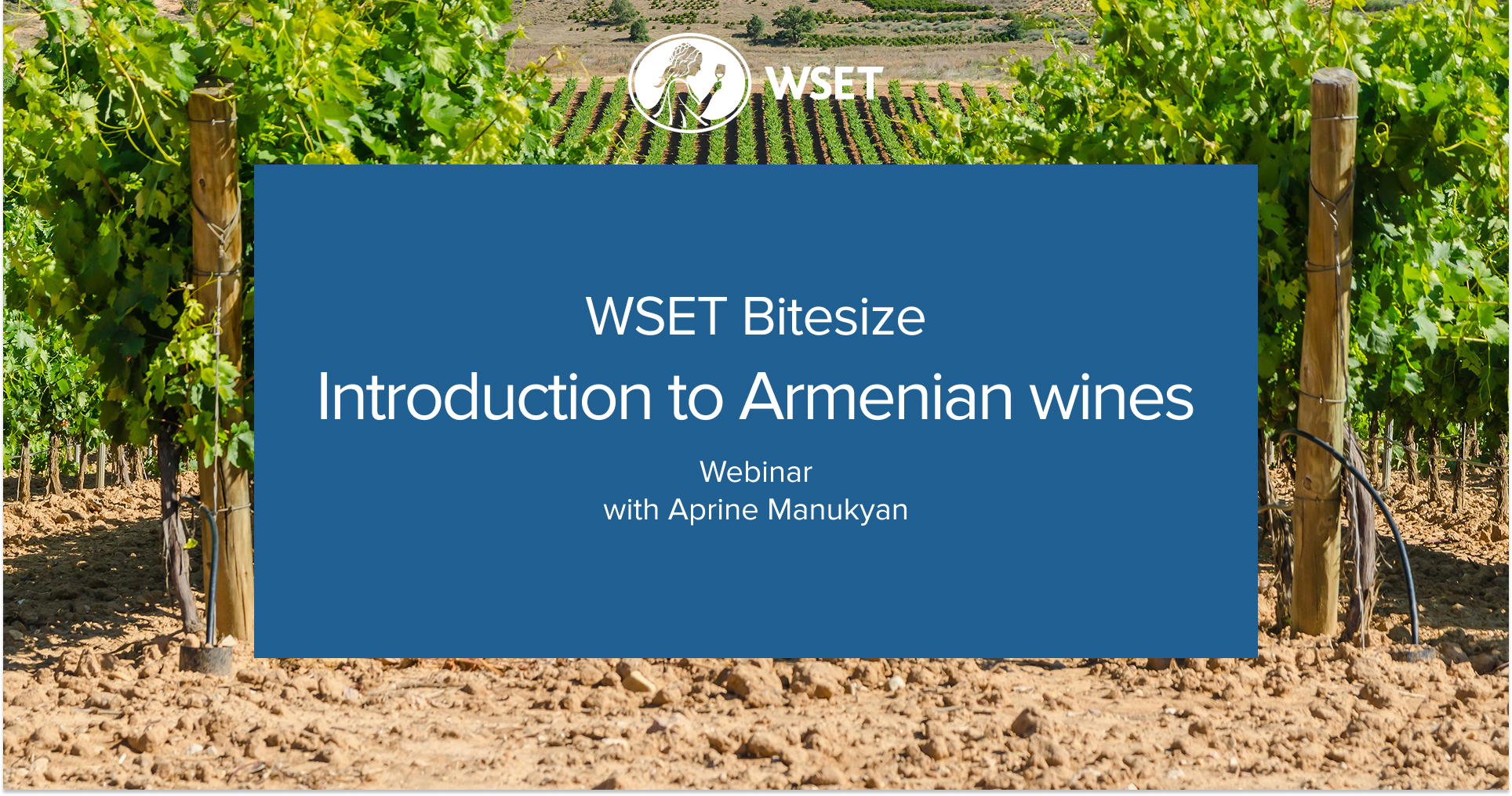 Armenian wines front cover.jpg