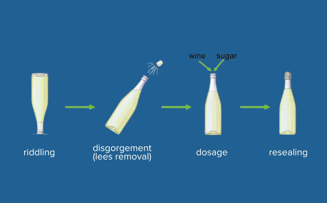 disgorgement diagram