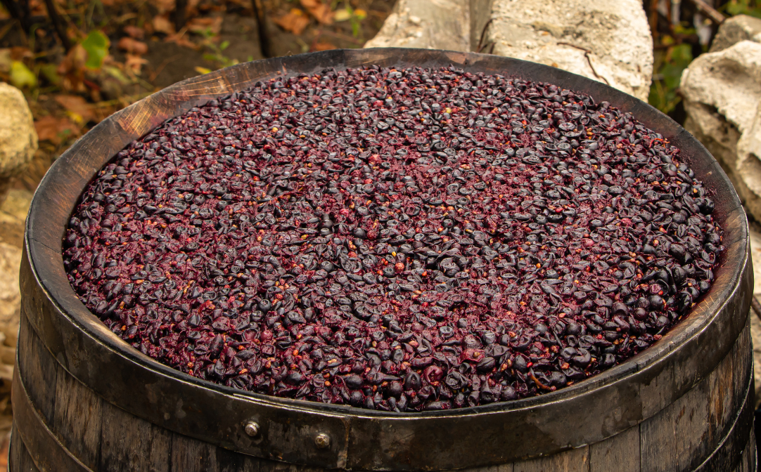 Fermenting grapes in a barrel