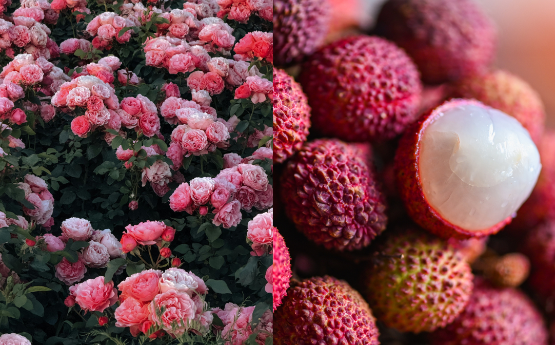Rose and lychee
