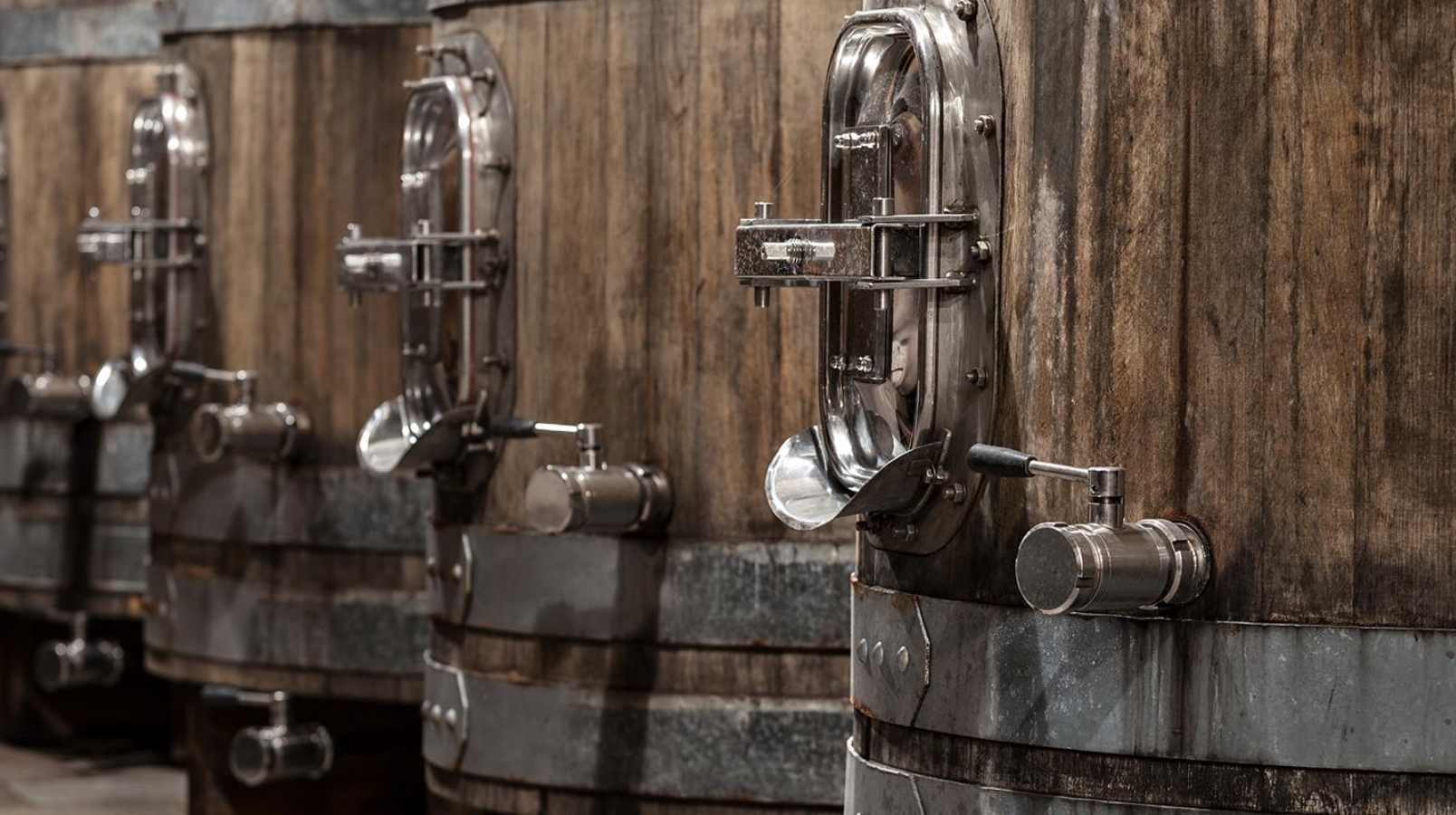 The wine is matured in very large, old Slavonian oak casks. Credit: Gravner